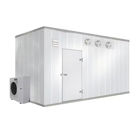 Bitzer Compressor Small Large-Scale Cold Room Storage Panels Fresh-Keeper Containers Medical Hotels New Construction Pro