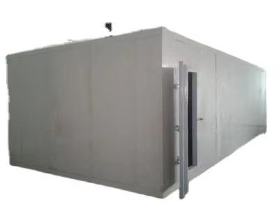 Bitzer Compressor Small Large-Scale Cold Room Storage Panels Fresh-Keeper Containers Medical Hotels New Construction Pro