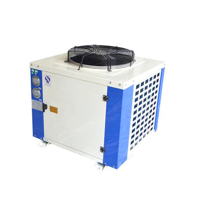 Bitzer Box Type Freezer Room air cooled Condensing Unit Strong Galvanized Steel Casing r22/r404a/r407f