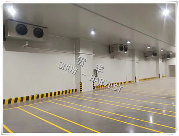 Large Capacity Logistics Cold Storage Energy Saving Precision Temperature