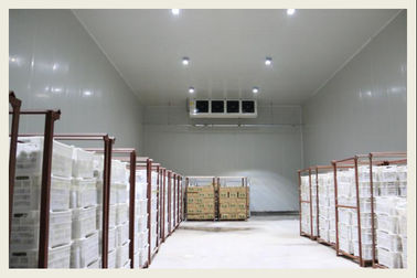 Anti Corrosion Vegetable Cold Storage Room Wide Temperature Range Optional