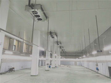 Waterproof Logistics Cold Storage Customized Dimension Large Cold Room