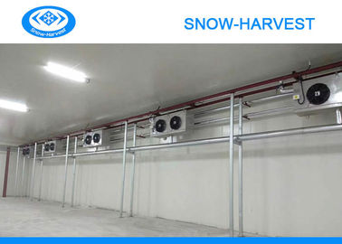 Automatic Control Vegetable Cold Storage Room Great Water Absorption