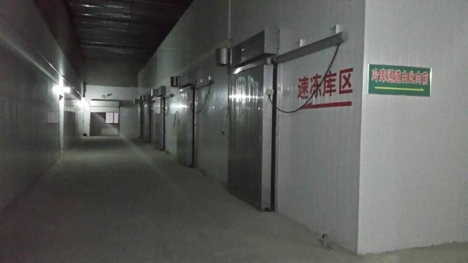 PU Sandwich Panel Prefabricated Cold Room Pre Cooling Door Type Sectional