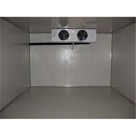 Quick Freeze Walk In Cold Rooms Safety Fresh Keeping Small Freezer Room