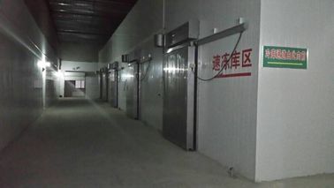 PU Sandwich Panel Prefabricated Cold Room Pre Cooling Door Type Sectional